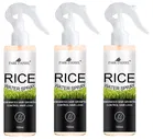 Park Daniel Rice Water Hair Spray 