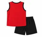 Printed Poly Blend Clothing Set for Boys 