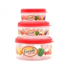 DREAM HOME Max Fresh Container Set 