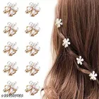 Fancy Hair Clips for Women 