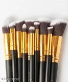 Premium Beauty Series 10 Pcs Black Makeup Brush Set  