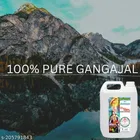 Pure Ganga Jal 