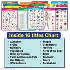 English Chart For Kids 