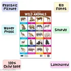 Bookford Publications My small chart Birds, Wild Animals & Colors 