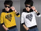 Cotton Blend Hooded Sweatshirts for Boys 