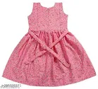 Frocks & Dresses Pack Of 2 for Girls 