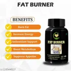 Fij Ayurveda 60 Pcs Fat Burner Capsule