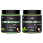 Natural Indigo Leaf & Pudina Powder for Skin & Hair 