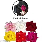 Assorted Hair Clips for Women 
