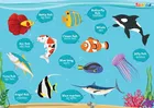 TodFod Wooden Fish Identify Puzzle with Knobs