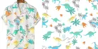 Shirt for Men 