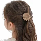 Fashion Hair Clips for Women 