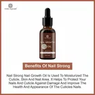 Nail Growth Oil 