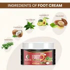 Ribva Foot Care Cream for Dry & Cracked Heels 