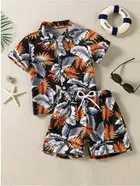 Cotton Silk Printed Clothing Set for Boys (Multicolor, 9-12 Months)