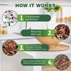 Cockroach killer Bait, Insects Bait, Flies Bait 