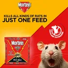 Mortein पावर गार्ड रैट किल केक - 100g