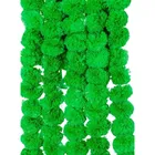 Mangal Bhawan Green Latkan 