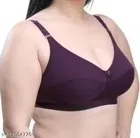 Hosiery Solid Bras for Women, Purple & Red, Pack of 2 