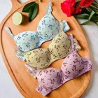 Everyday Bra for Women, Pack of 3 