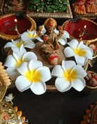 Artificial Flowers for Hair for Women 