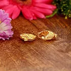 Vighnaharta Traditional Bucket Alloy Earring 