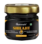 Nutrocopia Ayurvedic Shilajit (20 gm)