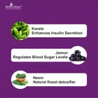 Herbs Library Neem Karela Jamun Juice for Metabolic & Digestive Health 