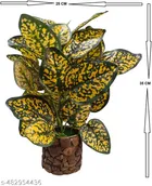 Plastic Artificial Flower With Pot,Multicolour