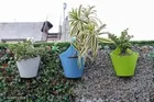 Plastic Hanging Planters 