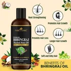 Park Daniel Bhringraj Herbal Hair Oil 