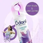 Odonil Nature Lavender Mist Room Freshener 220 ml