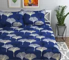 Glace Cotton Queen Size Bedsheet with 2 Pillow Cover 