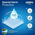 Teddyy Wet Wipes 