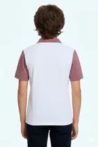 Polo Neck Colorblocked T-Shirt for Men, Brown 