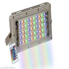 Remote Control Flood Light 