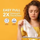 MISTIQUE 100 Pulls Facial Tissue Box 