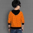 Cotton Blend Hood Neck Sweatshirts for Boys 