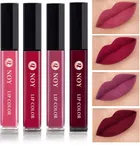 NOY Non Transfer Professionally Longlasting Liquid Lipstick 