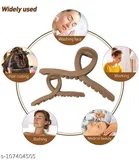 Plastic Hair Clutcher for Women & Girls 