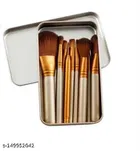 Soft and Synthetic Bristle Makeup Brushes Kit with A Silver Storage Box- Black Colour, Set of 12