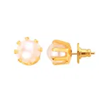 Gold Plated Alloy Earrings for Women 