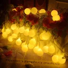 16 LEDs 5 m Golden Ball Rice Lights 