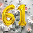 Foil Balloon for Birthday Celebration, No. 61 