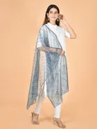 Net Self-Design Dupatta for Women 