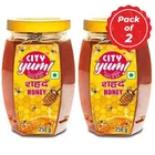 CityYum Honey 250 g (Set of 2)