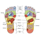 Acupressure and Magnetic Therapy Accu Paduka Slippers Foot Massager for Full Body Blood Circulation Slippers Foot Massager For Men and Women 