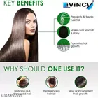 Livincy Adivasi Hair Oil 