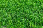 Artificial Grass Doormat 