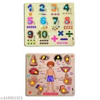 Wooden Puzzle for Kids 